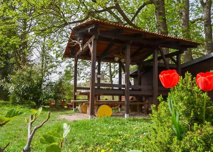 Casa de hóspedes Zum Ritter - A Cozy Historical Landmark 3*